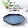 imageLERATIO Ceramic Dinner Plates Set of 6 105 Inch Handmade Reactive Glaze Porcelain Plates Coupe Shape Dinnerware Dishes Set for KitchenOvenampamp Microwave ampamp Dishwasher Safe Scratch ResistantGray BlueReactiveBlue